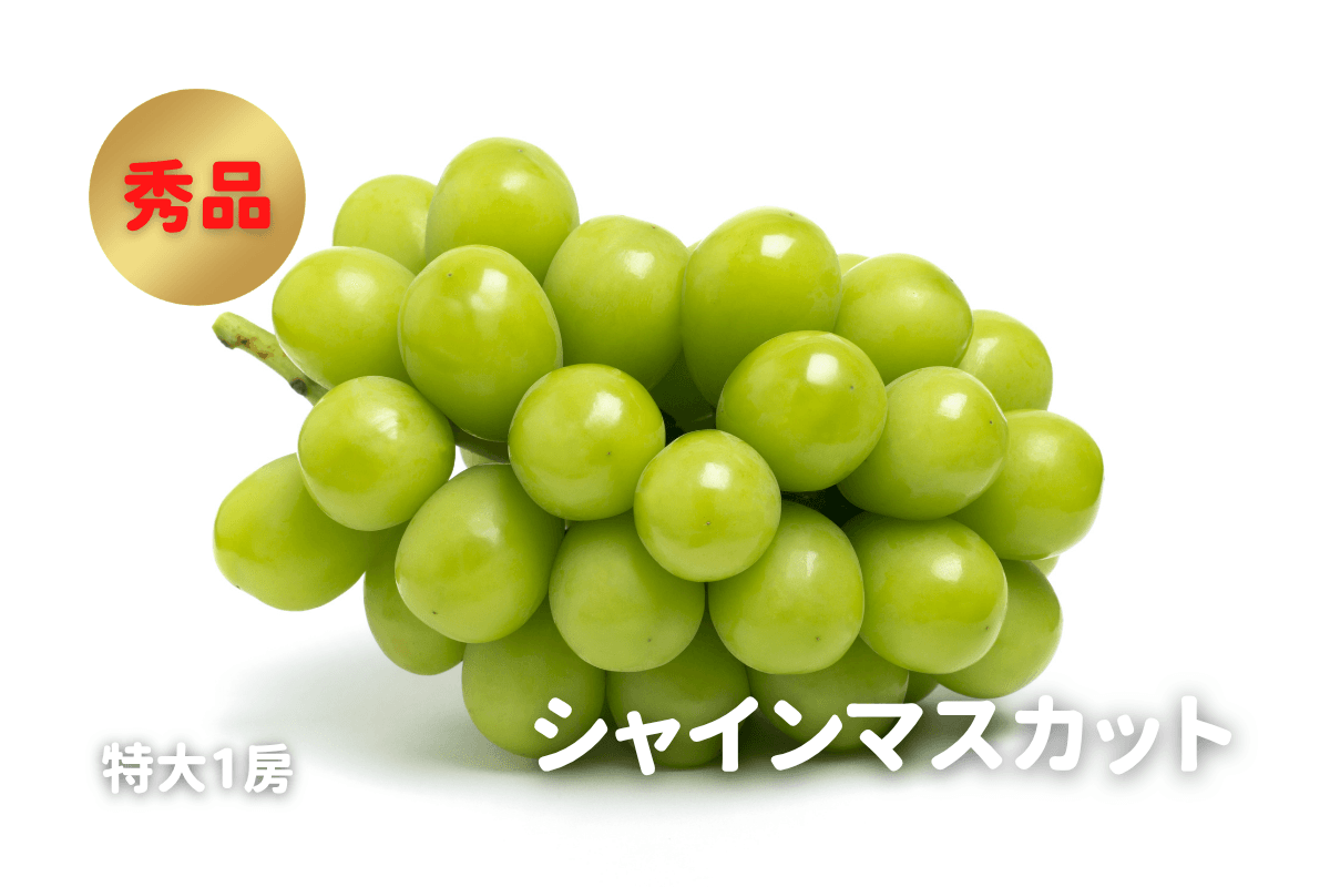 シャインマスカット 秀品 1房・約700g